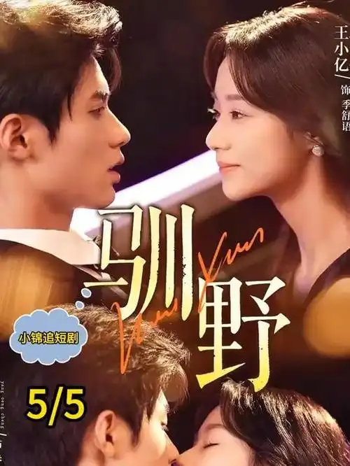 城中谜案电视剧全集免费观看